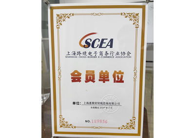 上海跨境电子商务行业协会会员单位